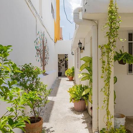 Hotel Las Palmas Cancun Centro Экстерьер фото